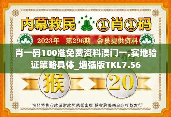 肖一码100准免费资料澳门一,实地验证策略具体_增强版TKL7.56