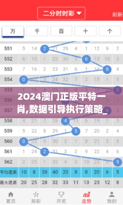 2O24澳门正版平特一肖,数据引导执行策略_创意版FLM7.94