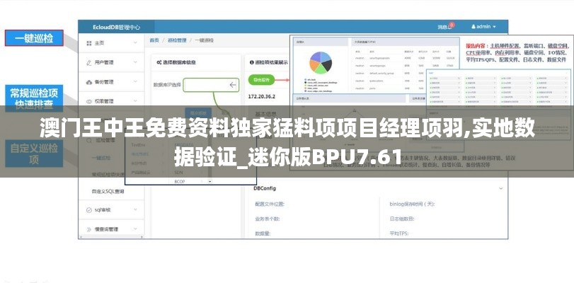 澳门王中王免费资料独家猛料项项目经理项羽,实地数据验证_迷你版BPU7.61
