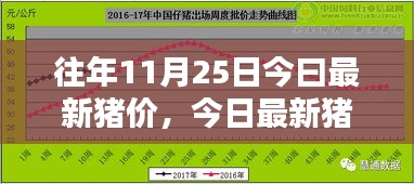 今日最新猪价分析，历史趋势与多方观点探讨，历年与最新猪价对比