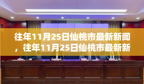 往年11月25日仙桃市新闻综述，特点、体验、对比及用户群体深度分析
