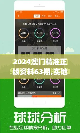 2024澳门精准正版资料63期,实地数据评估分析_别致版FUF7.33