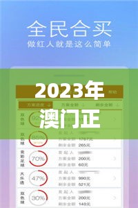 2023年澳门正版资料大全挂牌,科学解释分析_精装版SBW7.43
