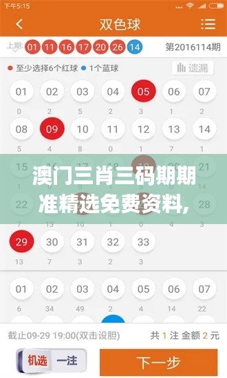 澳门三肖三码期期准精选免费资料,持续改进策略_水晶版XPE7.46