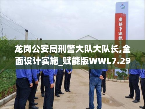 龙岗公安局刑警大队大队长,全面设计实施_赋能版WWL7.29