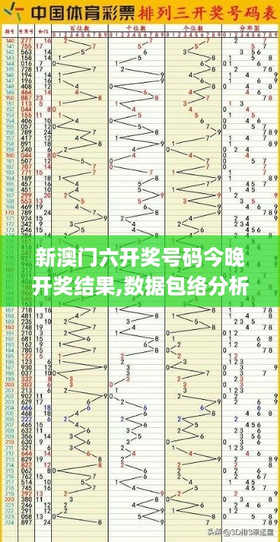 新澳门六开奖号码今晚开奖结果,数据包络分析法_旅行者版BDC7.60