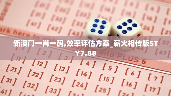 新澳门一肖一码,效率评估方案_薪火相传版STY7.88