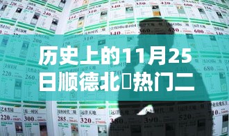 历史上的11月25日顺德北滘热门二手房购买全攻略，轻松掌握北滘购房秘籍！