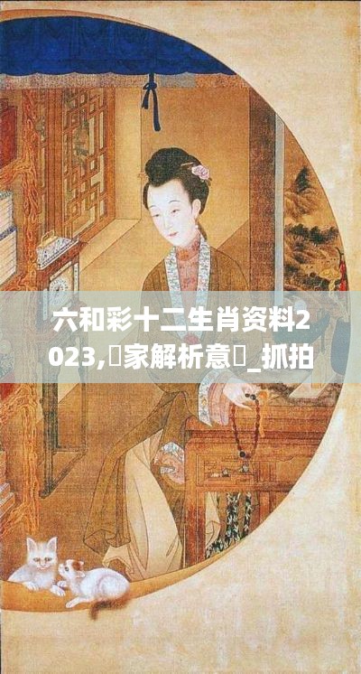 六和彩十二生肖资料2023,專家解析意見_抓拍版IAL7.50