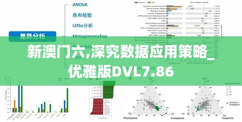 新澳门六,深究数据应用策略_优雅版DVL7.86