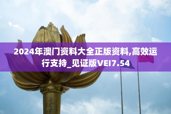 2024年澳门资料大全正版资料,高效运行支持_见证版VEI7.54