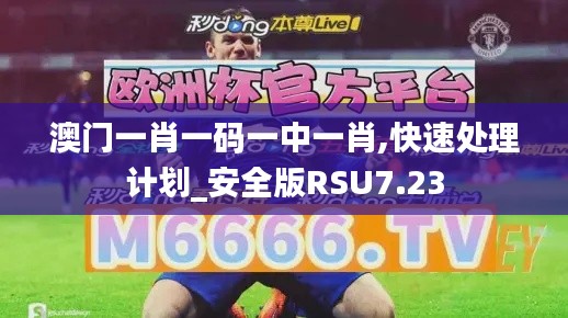 澳门一肖一码一中一肖,快速处理计划_安全版RSU7.23