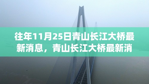 青山长江大桥最新评测与介绍，历年进展悉数呈现