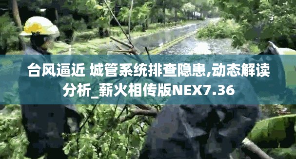 台风逼近 城管系统排查隐患,动态解读分析_薪火相传版NEX7.36
