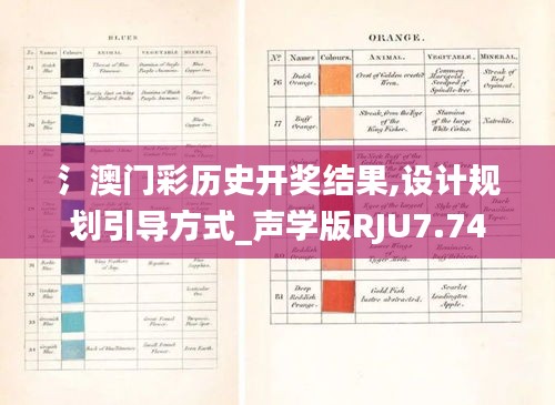 氵澳门彩历史开奖结果,设计规划引导方式_声学版RJU7.74