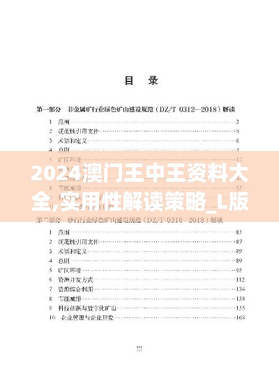 2024澳门王中王资料大全,实用性解读策略_L版QES7.8