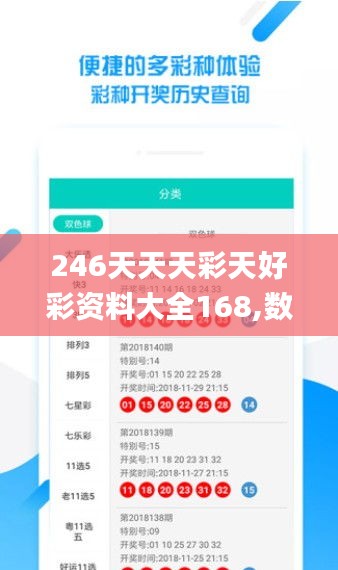 246天天天彩天好彩资料大全168,数据导向程序解析_品牌版DBF7.47