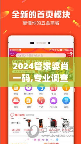 2024管家婆肖一码,专业调查具体解析_户外版KGR7.94