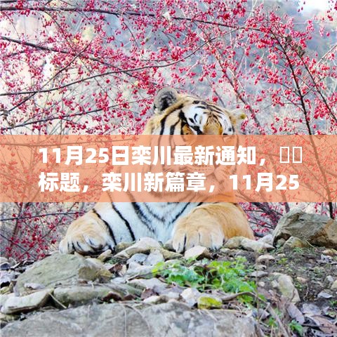 栾川新篇章，11月25日与自然共舞的日子通知
