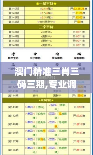 澳门精准三肖三码三期,专业调查具体解析_界面版RAN7.61