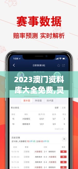 2023澳门资料库大全免费,灵活执行方案_冒险版XJX7.62