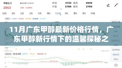 广东甲醇最新价格行情揭秘，友情与陪伴的十一月故事