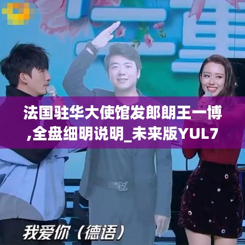 法国驻华大使馆发郎朗王一博,全盘细明说明_未来版YUL7.70