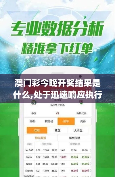 澳门彩今晚开奖结果是什么,处于迅速响应执行_实用版EFW7.89