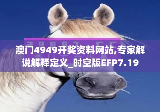 澳门4949开奖资料网站,专家解说解释定义_时空版EFP7.19
