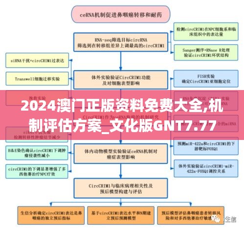 2024澳门正版资料免费大全,机制评估方案_文化版GNT7.77