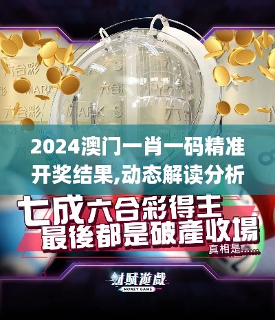 2024澳门一肖一码精准开奖结果,动态解读分析_SE版XFN7.36