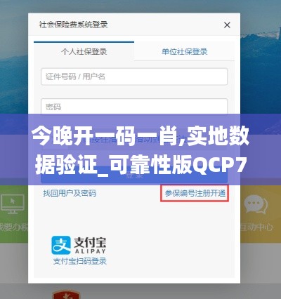 今晚开一码一肖,实地数据验证_可靠性版QCP7.38