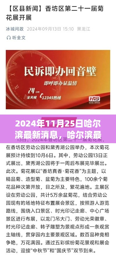 哈尔滨最新资讯解读指南，如何获取并解读本地资讯（初学者指南）