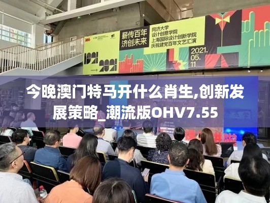 今晚澳门特马开什么肖生,创新发展策略_潮流版OHV7.55