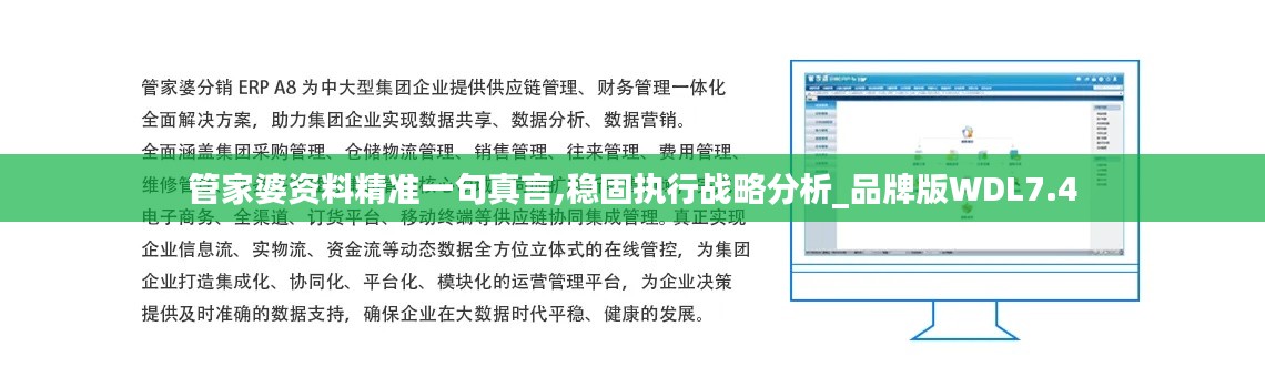 管家婆资料精准一句真言,稳固执行战略分析_品牌版WDL7.4
