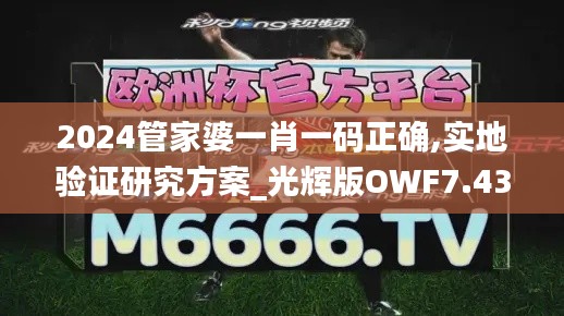 2024管家婆一肖一码正确,实地验证研究方案_光辉版OWF7.43