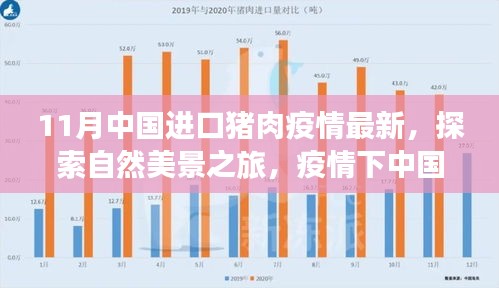 中国进口猪肉疫情最新动态与心灵探索之旅，乐观视角与呼唤自然美景