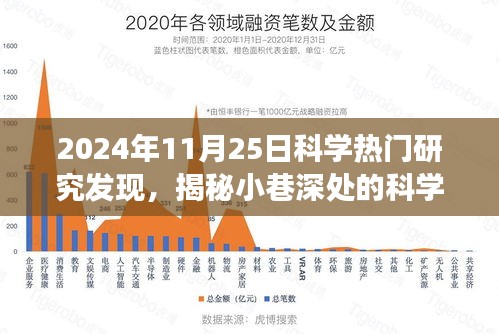 揭秘隐藏小巷的神奇小店，一项震撼人心的科学发现揭晓于2024年11月25日