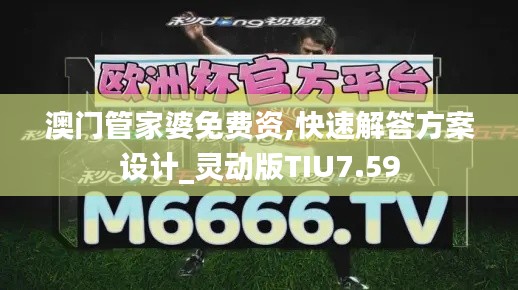 澳门管家婆免费资,快速解答方案设计_灵动版TIU7.59