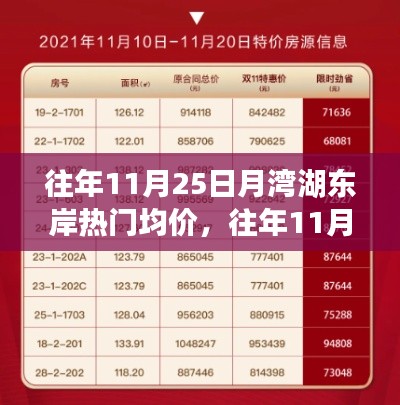 往年11月25日月湾湖东岸房产均价指南，从入门到精通的全攻略