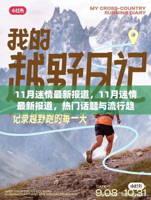 最新热门话题与流行趋势尽在掌握，揭秘十一月迷情报道