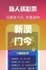 新澳门今晚开奖结果开奖记录,即时解答解析分析_妹妹版VHP7.49