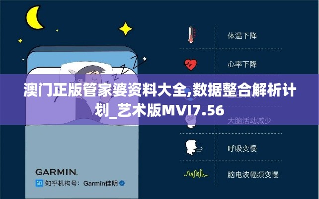 澳门正版管家婆资料大全,数据整合解析计划_艺术版MVI7.56