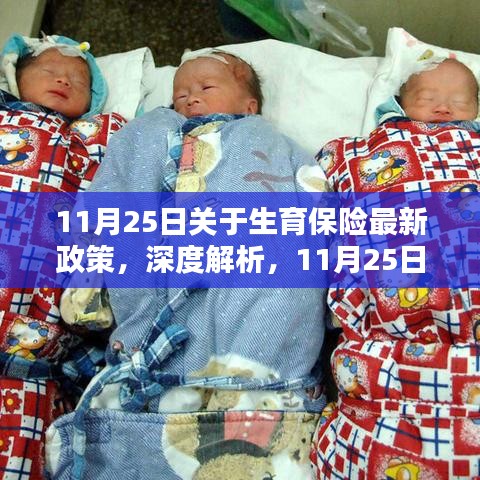深度解析与全面测评，11月25日生育保险最新政策介绍