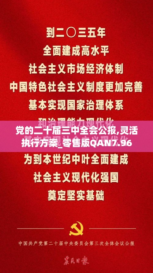 党的二十届三中全会公报,灵活执行方案_零售版QAN7.96