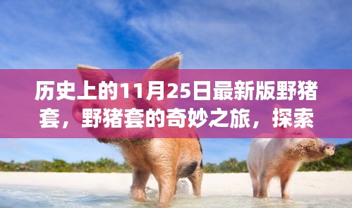 野猪套的奇妙探索之旅，历史、自然美景与内心宁静的交融