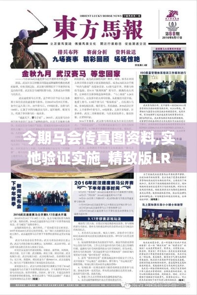 今期马会传真图资料,实地验证实施_精致版LRT7.74