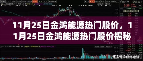 揭秘金鸿能源股价走势，市场趋势下的独特投资机会（11月25日）