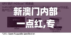 新澳门内部一点红,专业解读方案实施_理想版SCD7.94