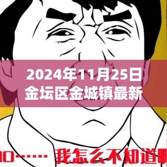 探秘金坛新城，领导风采与小巷深处的特色小店介绍（最新更新）